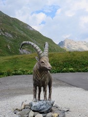 Col du Petit Saint Bernard