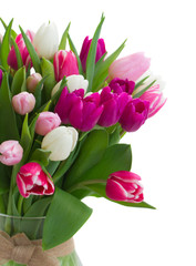 bouquet of  pink, purple and white  tulips
