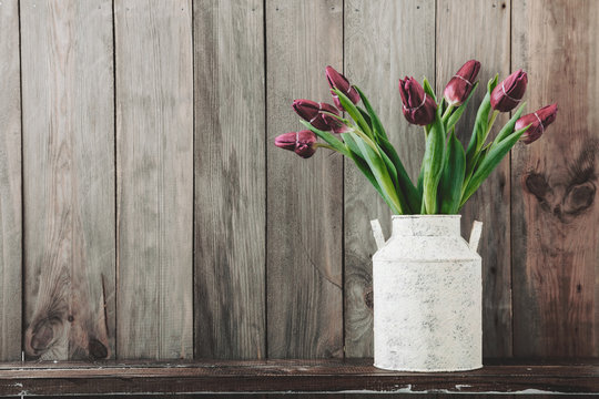Tulips in a vintage pot