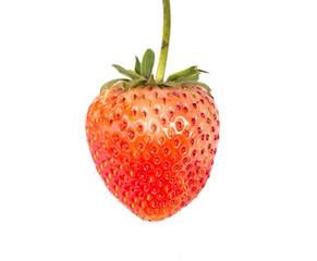 Strawberry on white background