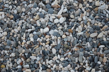 Pebbles on Bracelet Bay on the Gower peninsula