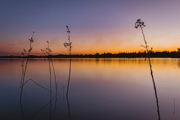 Fototapeta na wymiar sunset at coast of the lake