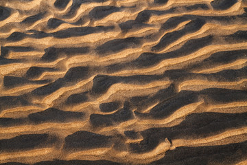 sandy background