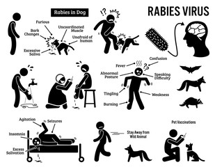 Rabies Virus in Human and Animal Stick Figure Pictogram Icons