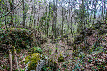 Nacedero del Urederra