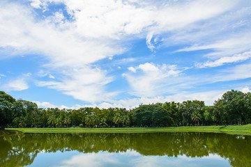Green park and reflection in water,with blue sky background.