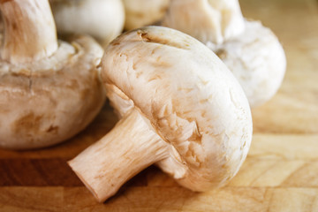 Many champignon mushrooms