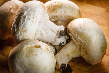 Many champignon mushrooms