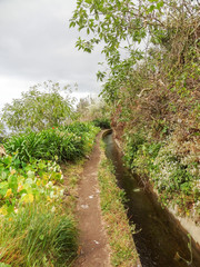 canal at Madeira