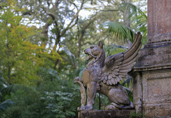 Lion with wings statue in Terra Nostra garden