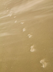 Footprints at sandy beach