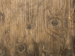 Obraz premium Texture of bark old wood use as natural background