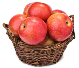 
Apples in the basket