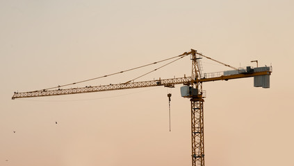 Construction crane bottom view in operation with sky background at sunset