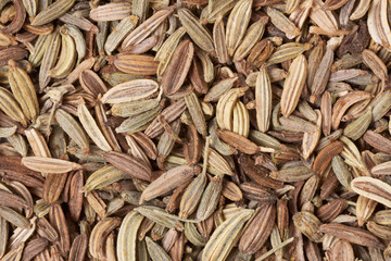 Fennel seeds background, macro shot, XXXL size