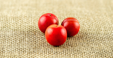 Macro of three ball shaped cherry plums