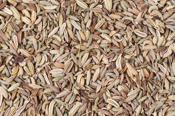 Fennel seeds background, macro shot, XXXL size