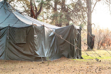 Green tent, camping, camping, woods