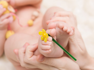 little baby feet with yellow flower in the mother hands