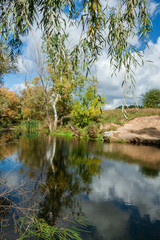 Obraz premium River among the trees