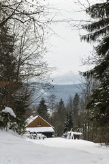 cottage behind the mountains among the trees for the forest lookout tower in the background on the hill