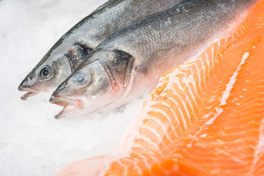 Whole Mackerel Fish And Salmon Fillet 