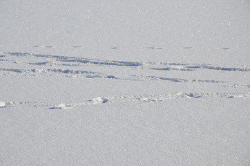 Einsame Spuren im Schnee