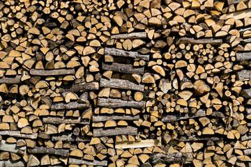 pile of birch wood