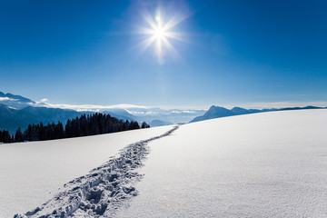 Spuren im Schnee