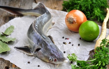 fresh sturgeon with vegetables and spices on wooden background.