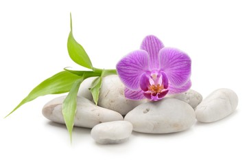 Fototapeta na wymiar zen basalt stones ,orchid and bamboo