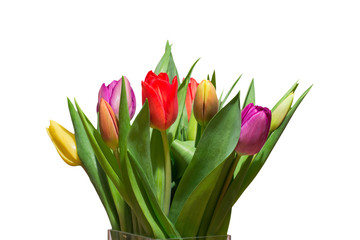 Bunter Tulpenstrauß, freigestellt