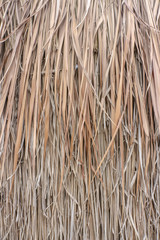 Close up straw background. Texture of straw