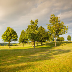 On a golf course at sunset
