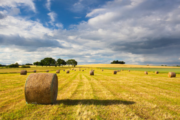 Summer landscape after a storm