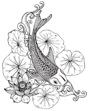 Hand drawn vector illustration of Koi fish with lotus flower