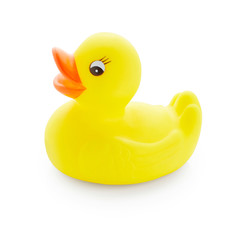 Yellow rubber duck