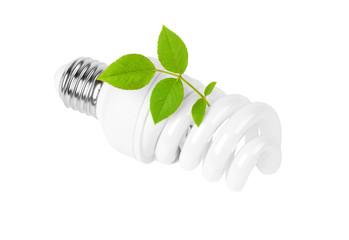 Energy saving light bulb and plant on white background