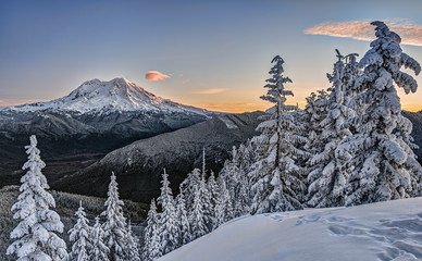 Morning Sunlight Illuminates Mt Rainier in Snowy Alpine Scene