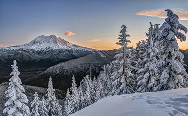 Gordijnen Morning Sunlight Illuminates Mt Rainier in Snowy Alpine Scene © ryancslimakphoto