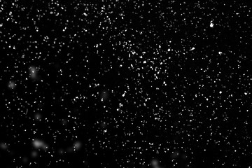 Falling snow isolated on black background - Powered by Adobe