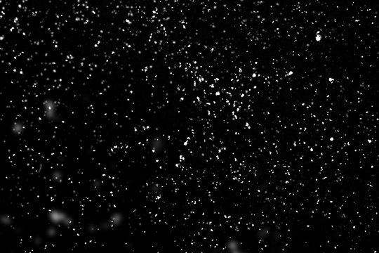 Fototapeta Falling snow isolated on black background