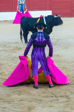 Back view of toreador in beautiful violet costume bullfighter