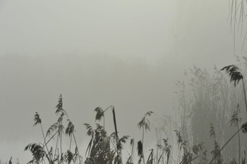 mgła na jeziorem © abckomp