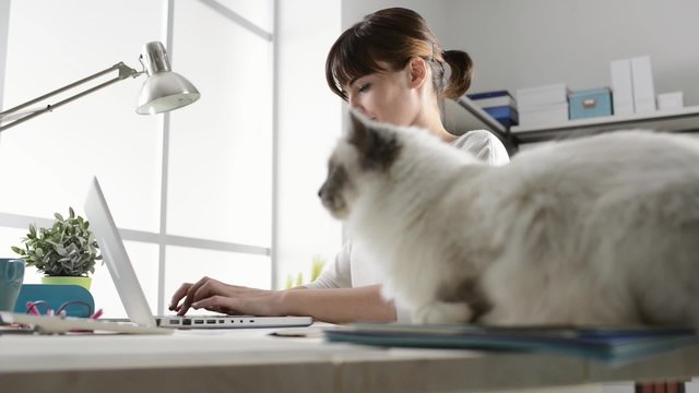 Young woman typing on a laptop and cuddling her beautiful cat on the desk