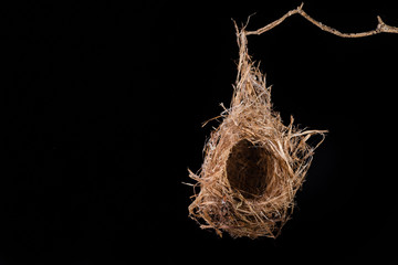 Empty bird nest on black background