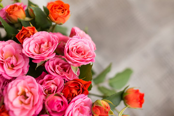 Soft color Roses Background