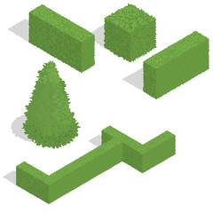 various bushes isometric set . Vector illustration.