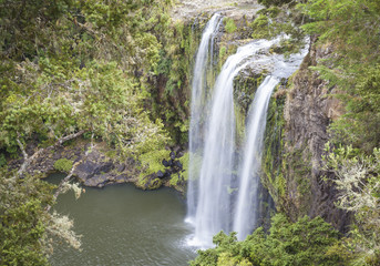 Fototapeta na wymiar Wasserfälle von Whangarei