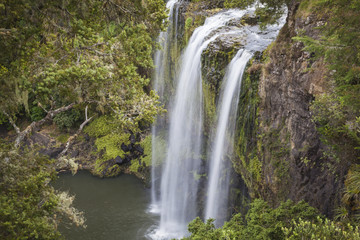 Fototapeta na wymiar Wasserfälle von Whangarei